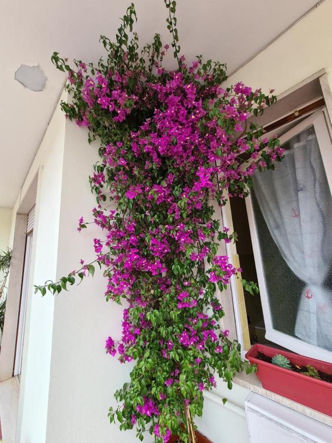 Casa Dell Amore 2 Sanremo Exterior photo